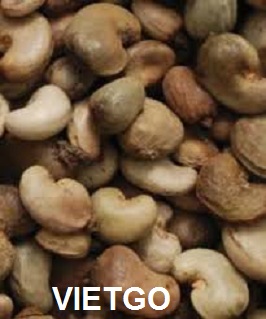 hạt điều